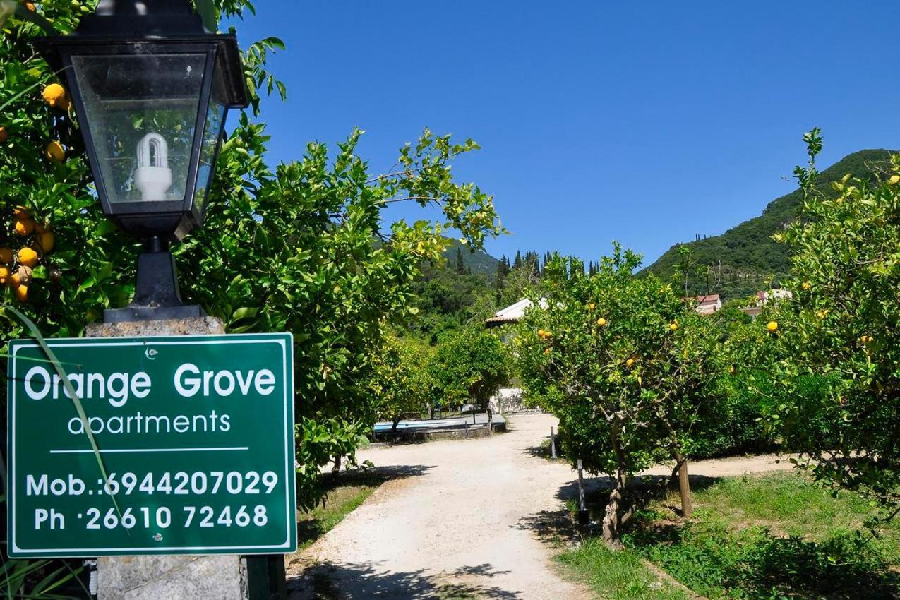 Orange Grove Suites Benitses  Dış mekan fotoğraf