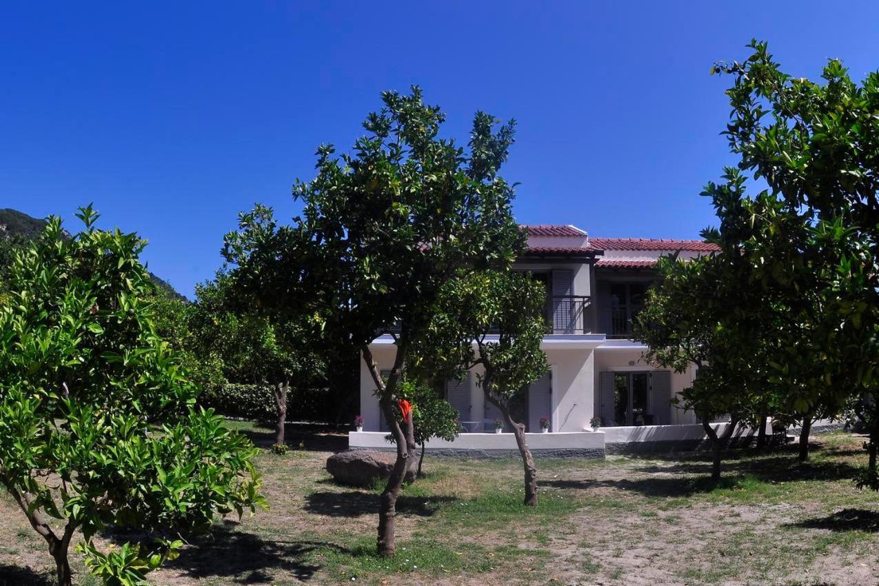 Orange Grove Suites Benitses  Dış mekan fotoğraf