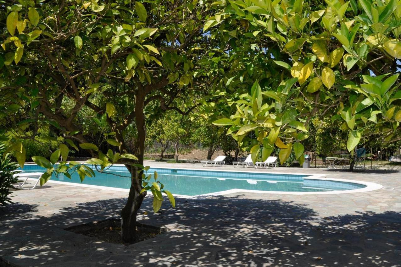Orange Grove Suites Benitses  Dış mekan fotoğraf