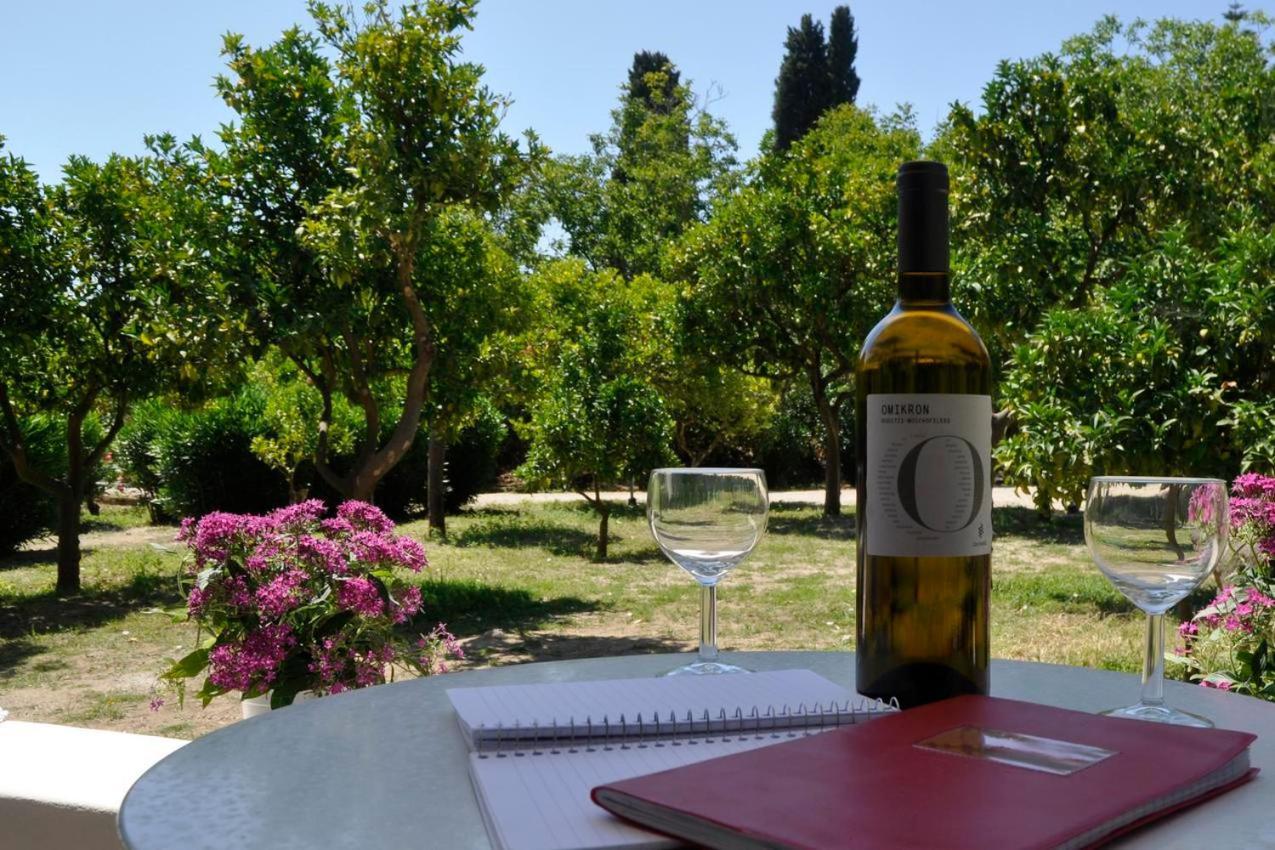 Orange Grove Suites Benitses  Dış mekan fotoğraf