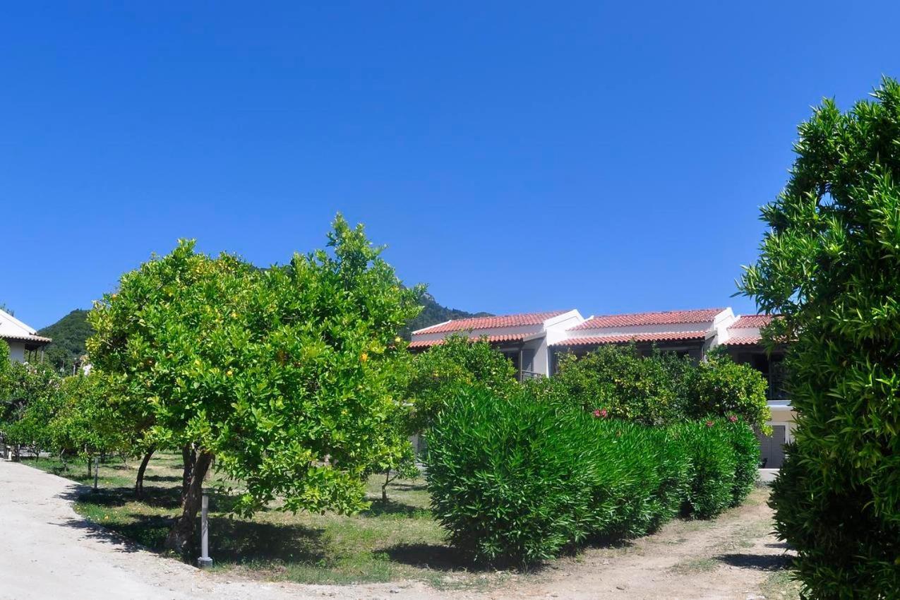 Orange Grove Suites Benitses  Dış mekan fotoğraf