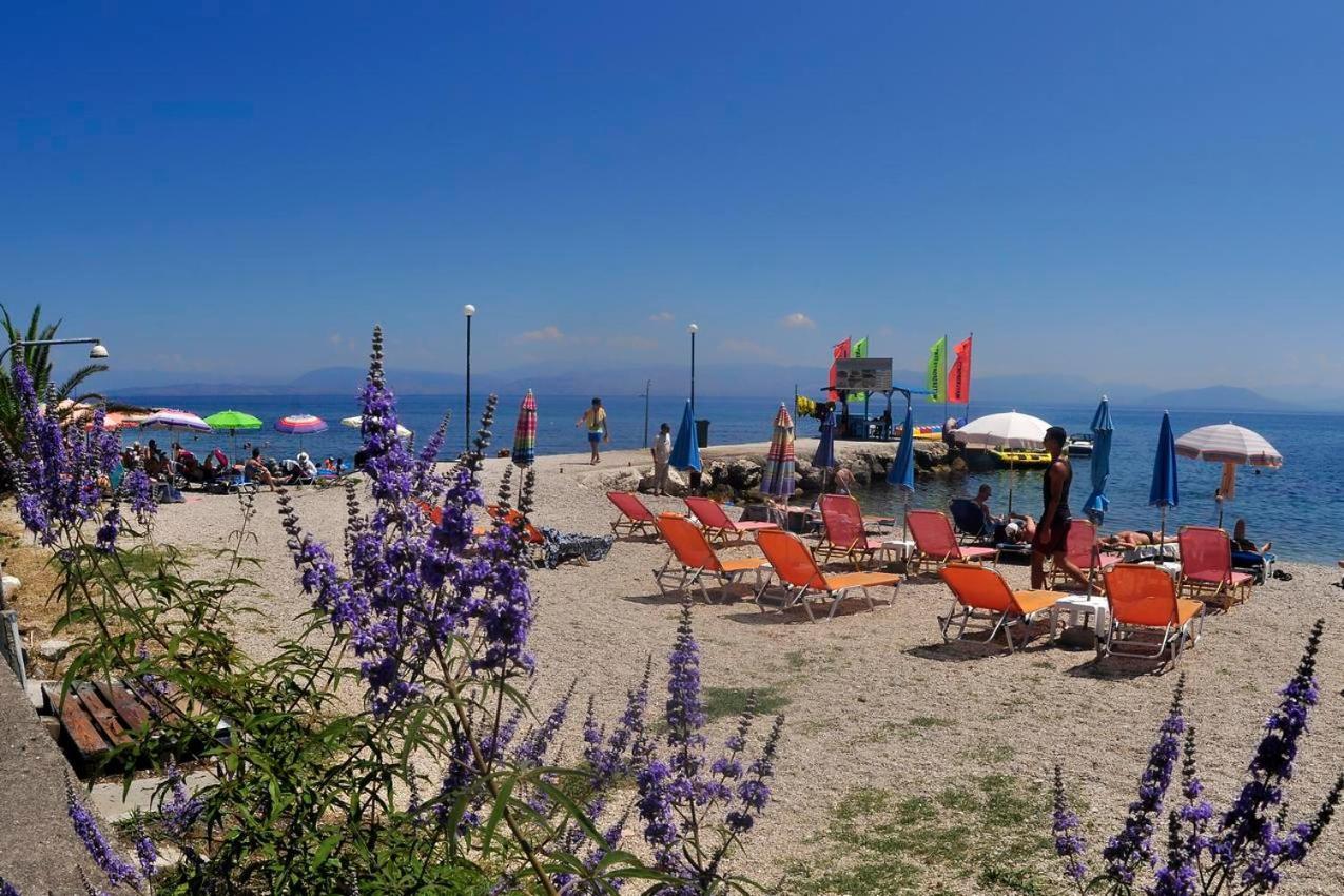 Orange Grove Suites Benitses  Dış mekan fotoğraf