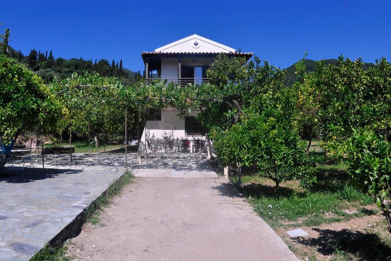 Orange Grove Suites Benitses  Dış mekan fotoğraf